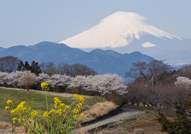 社会人サークルベッキー 登山 ハイキング 旅行 プラチナ倶楽部